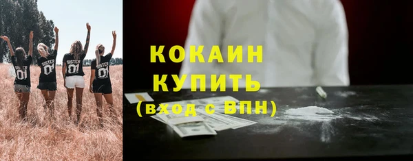 шишки Баксан