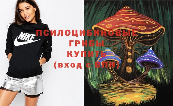 Альфа ПВП Балахна