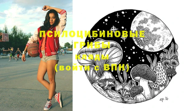 Альфа ПВП Балахна