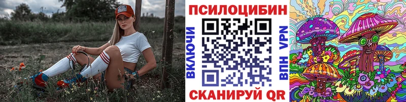 omg Сорочинск Галлюциногенные грибы Magic Shrooms где найти наркотики